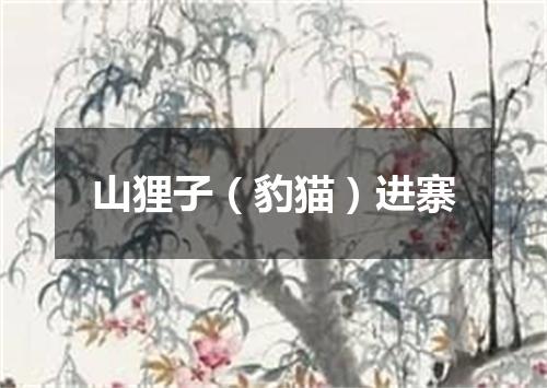 山狸子（豹猫）进寨