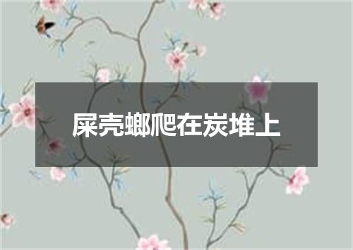 屎壳螂爬在炭堆上