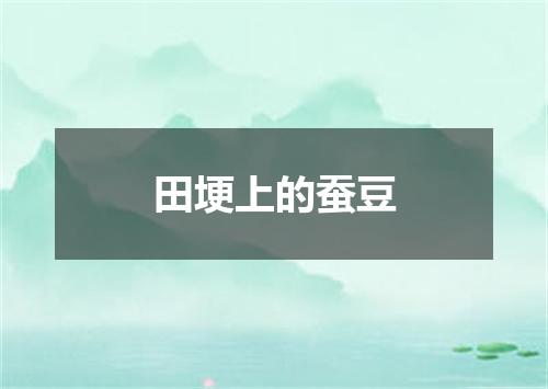 田埂上的蚕豆