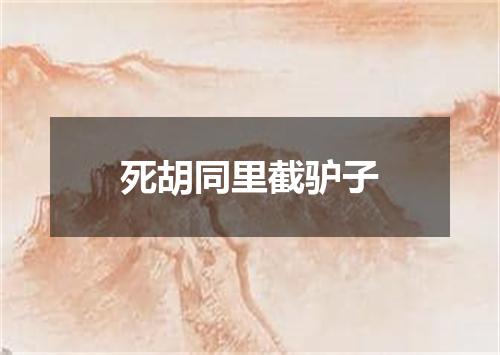 死胡同里截驴子