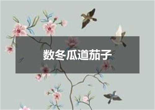 数冬瓜道茄子