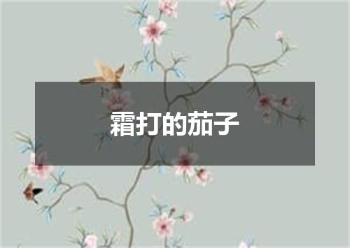 霜打的茄子