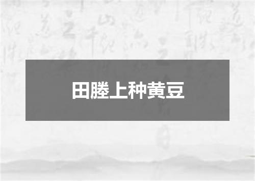 田塍上种黄豆
