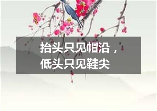 抬头只见帽沿，低头只见鞋尖
