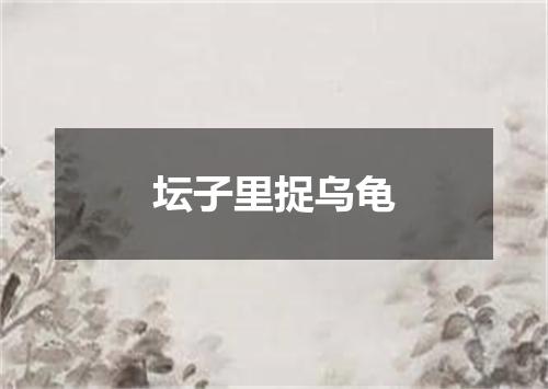 坛子里捉乌龟