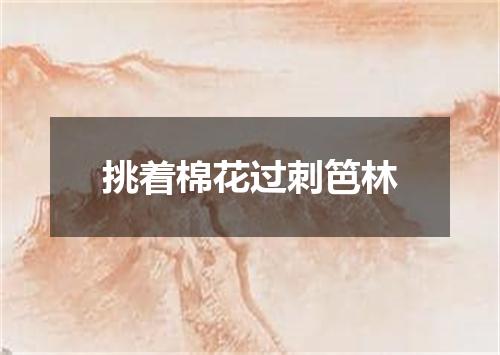 挑着棉花过刺笆林