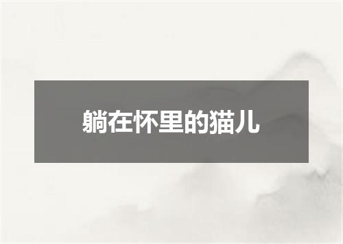 躺在怀里的猫儿