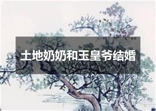 土地奶奶和玉皇爷结婚
