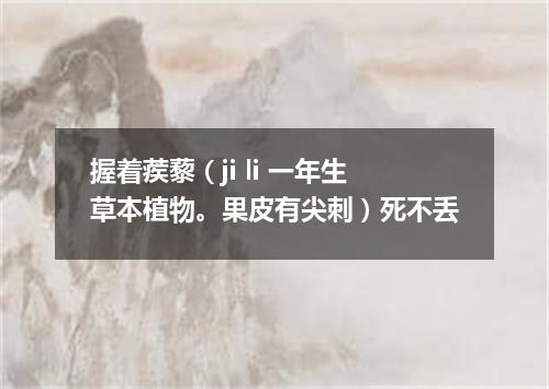 握着蒺藜（ji li 一年生草本植物。果皮有尖刺）死不丢
