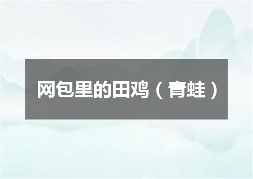 网包里的田鸡（青蛙）