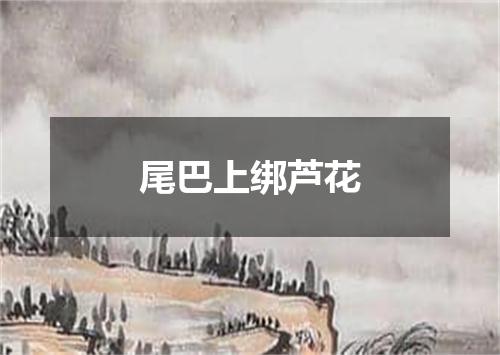 尾巴上绑芦花