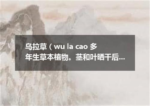 乌拉草（wu la cao 多年生草本植物。茎和叶晒干后垫在鞋或靴子里可以保暖）搀鸡毛