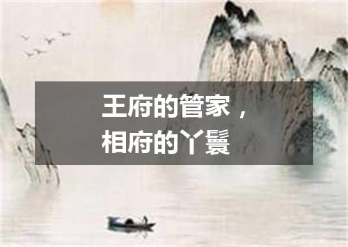 王府的管家，相府的丫鬟
