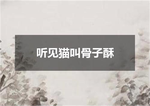 听见猫叫骨子酥