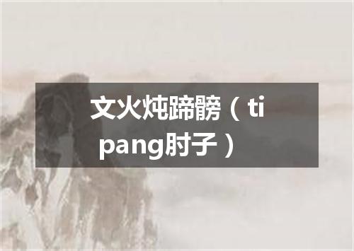 文火炖蹄髈（ti pang肘子）