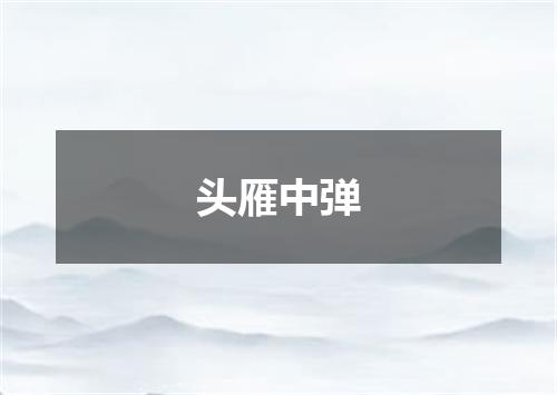 头雁中弹