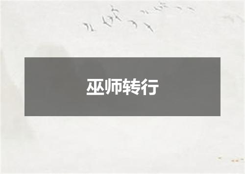 巫师转行