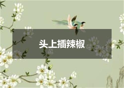 头上插辣椒