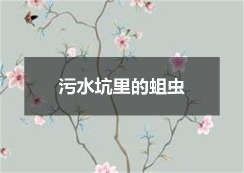污水坑里的蛆虫