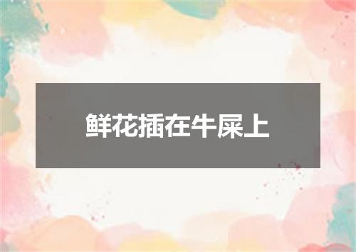 鲜花插在牛屎上