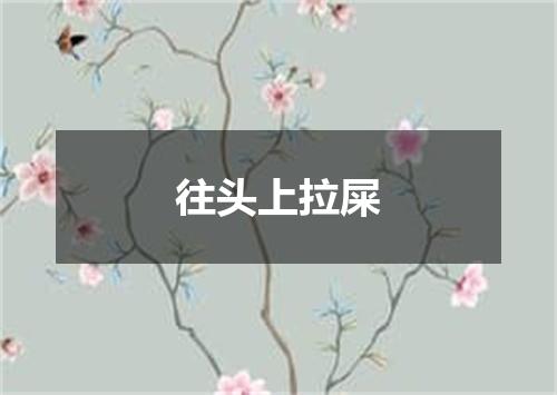 往头上拉屎