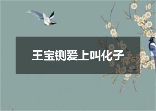王宝铡爱上叫化子