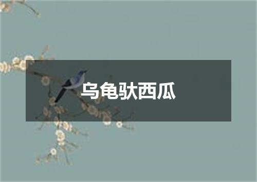乌龟驮西瓜