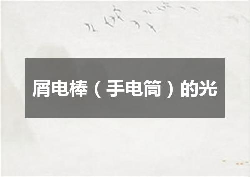 屑电棒（手电筒）的光