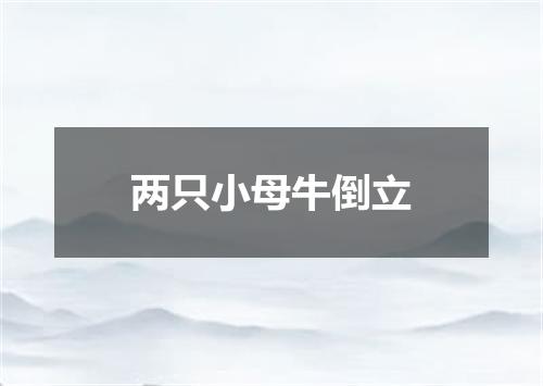 两只小母牛倒立