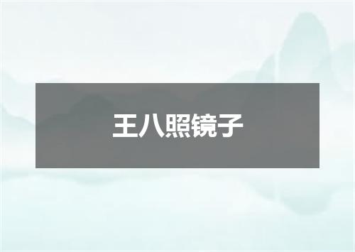 王八照镜子