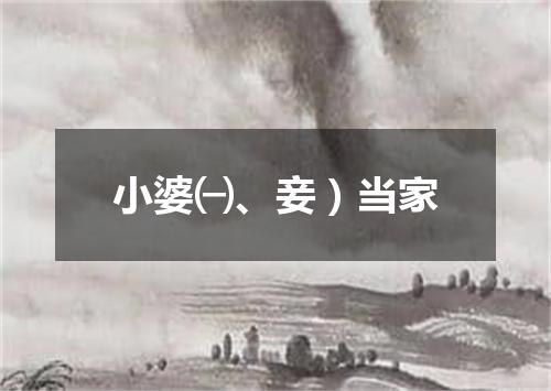 小婆㈠、妾）当家