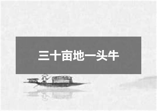 三十亩地一头牛