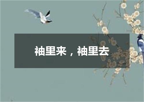 袖里来，袖里去