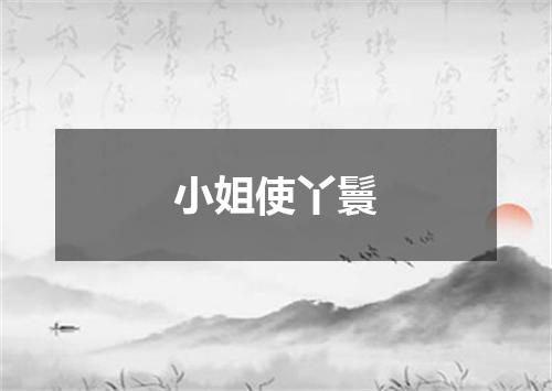 小姐使丫鬟