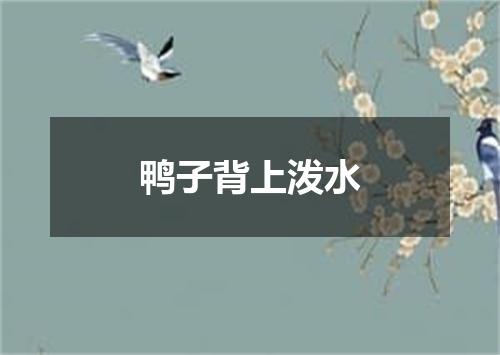 鸭子背上泼水