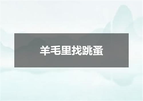 羊毛里找跳蚤