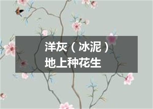 洋灰（冰泥）地上种花生