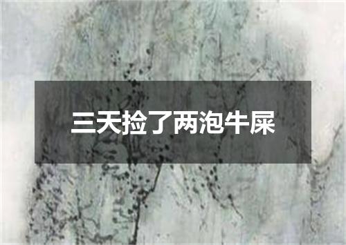 三天捡了两泡牛屎