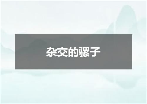 杂交的骡子