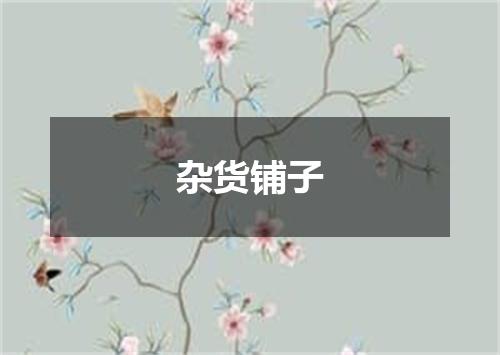 杂货铺子