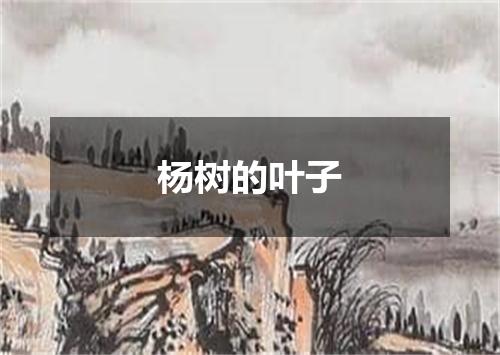杨树的叶子
