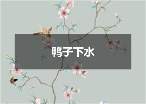 鸭子下水