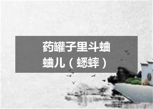 药罐子里斗蛐蛐儿（蟋蟀）