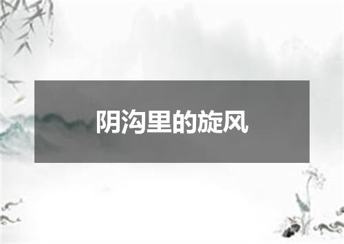 阴沟里的旋风