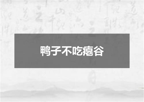 鸭子不吃瘪谷