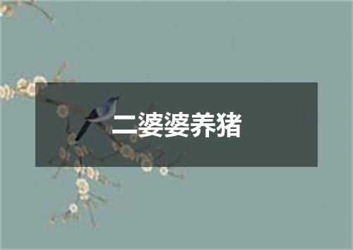 二婆婆养猪