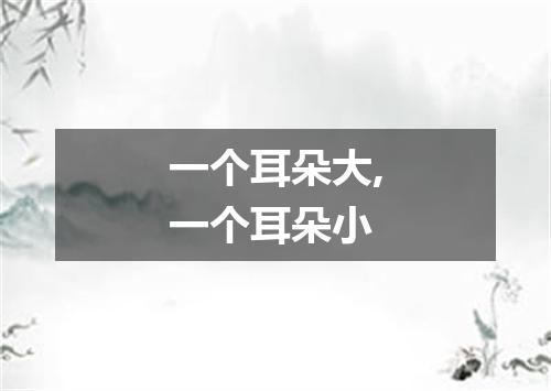 一个耳朵大,一个耳朵小