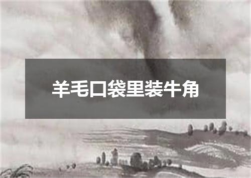 羊毛口袋里装牛角
