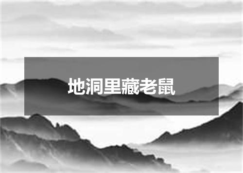 地洞里藏老鼠