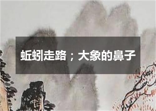 蚯蚓走路；大象的鼻子